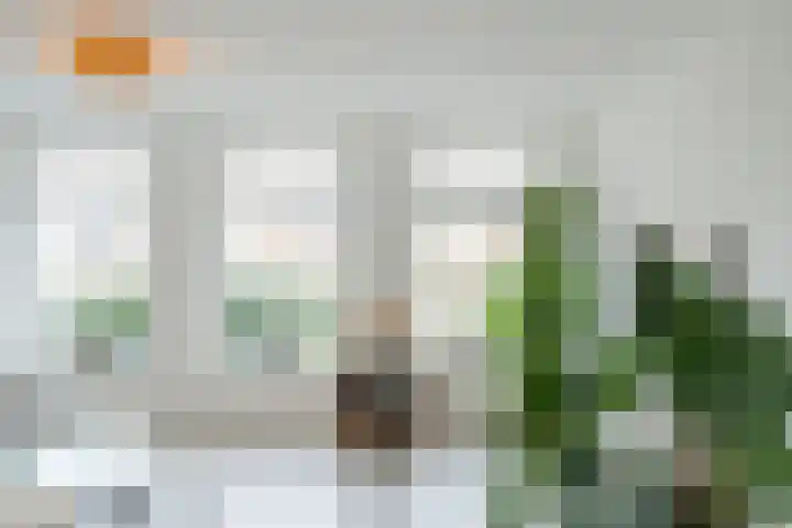 Staartploeg 23 't Zand thumbnail 5