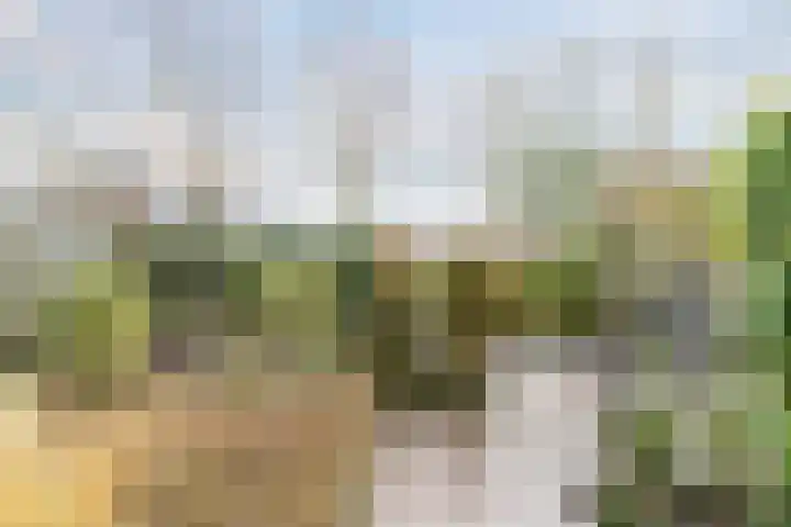 Staartploeg 23 't Zand thumbnail 50
