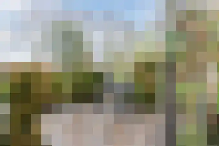 Staartploeg 23 't Zand thumbnail 51