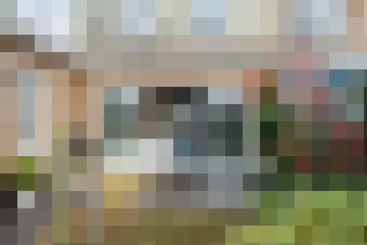 Staartploeg 23 't Zand thumbnail 52