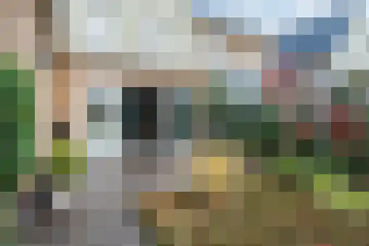 Staartploeg 23 't Zand thumbnail 53