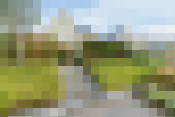 Staartploeg 23 't Zand thumbnail 56