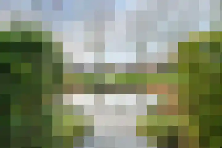 Staartploeg 23 't Zand thumbnail 57