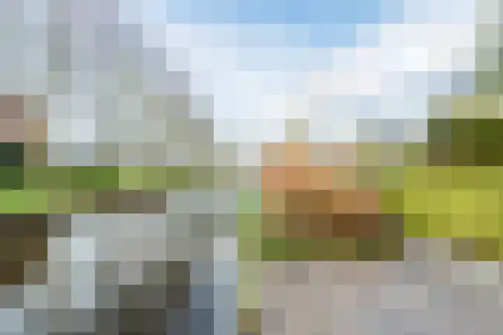 Staartploeg 23 't Zand thumbnail 58