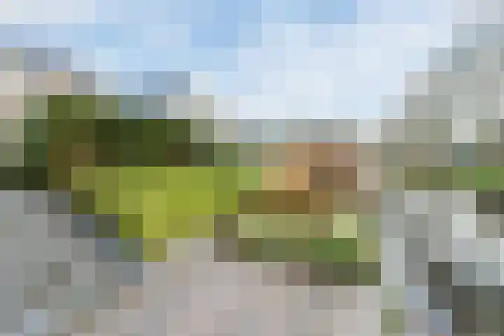 Staartploeg 23 't Zand thumbnail 59