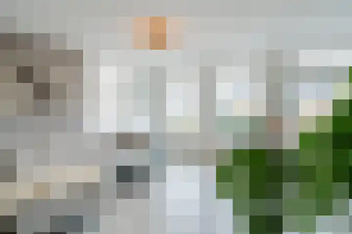 Staartploeg 23 't Zand thumbnail 6