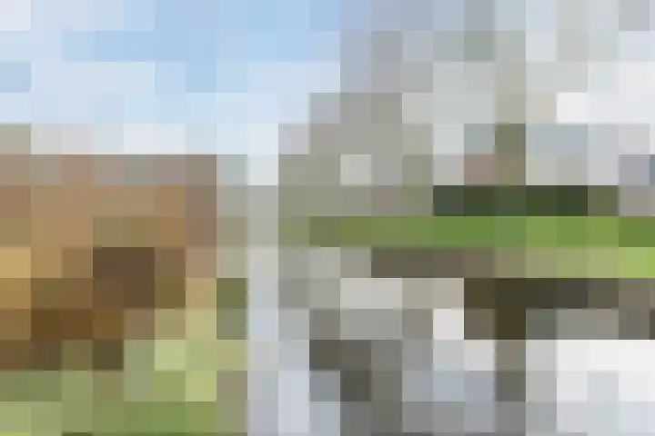 Staartploeg 23 't Zand thumbnail 60