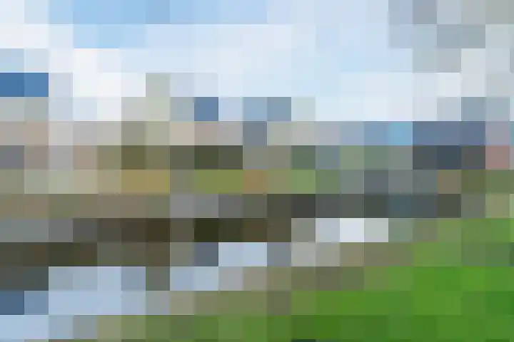 Staartploeg 23 't Zand thumbnail 61