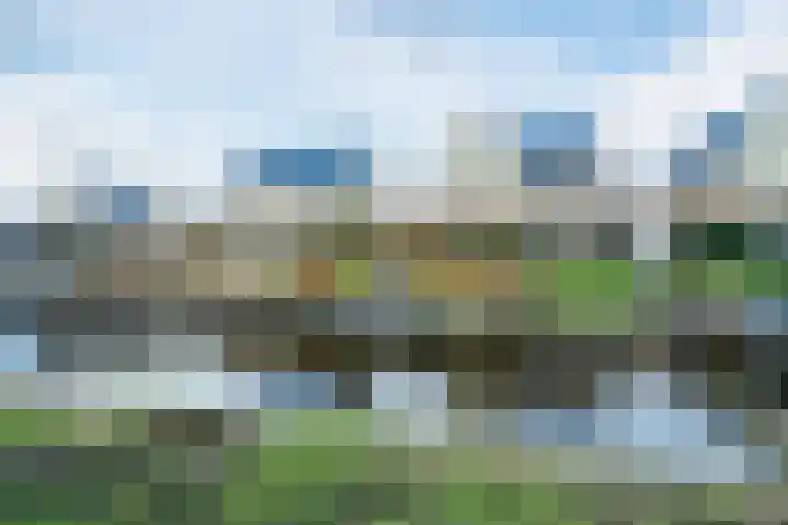 Staartploeg 23 't Zand thumbnail 62