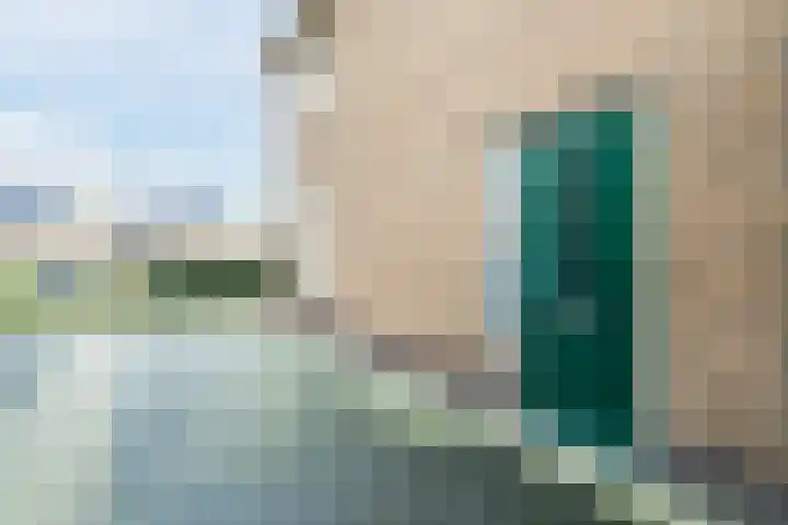 Staartploeg 23 't Zand thumbnail 63