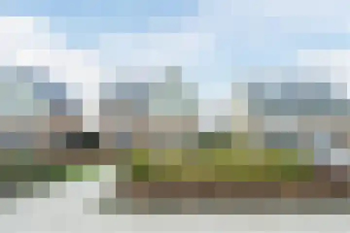 Staartploeg 23 't Zand thumbnail 66