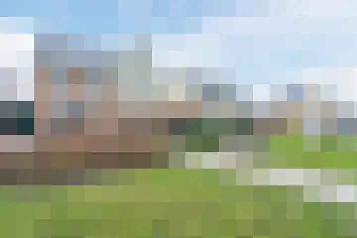 Staartploeg 23 't Zand thumbnail 67