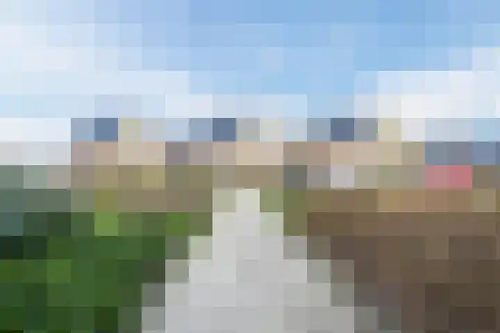 Staartploeg 23 't Zand thumbnail 68