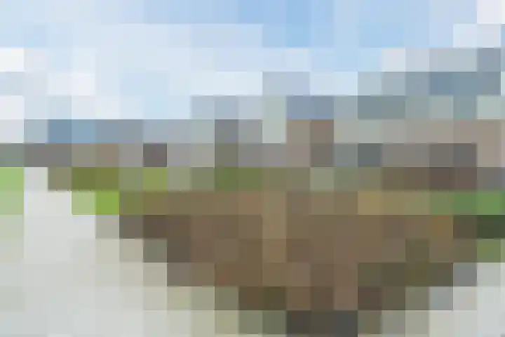Staartploeg 23 't Zand thumbnail 69