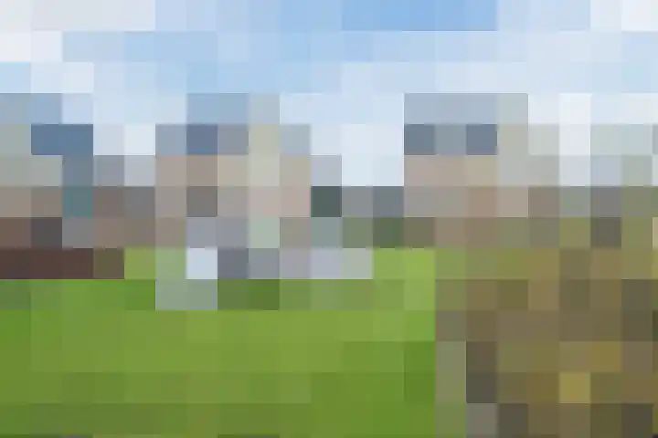 Staartploeg 23 't Zand thumbnail 70