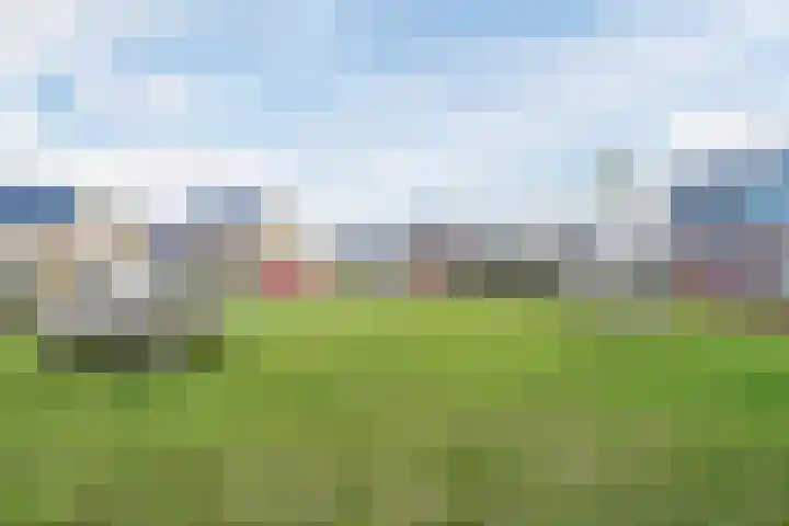 Staartploeg 23 't Zand thumbnail 71