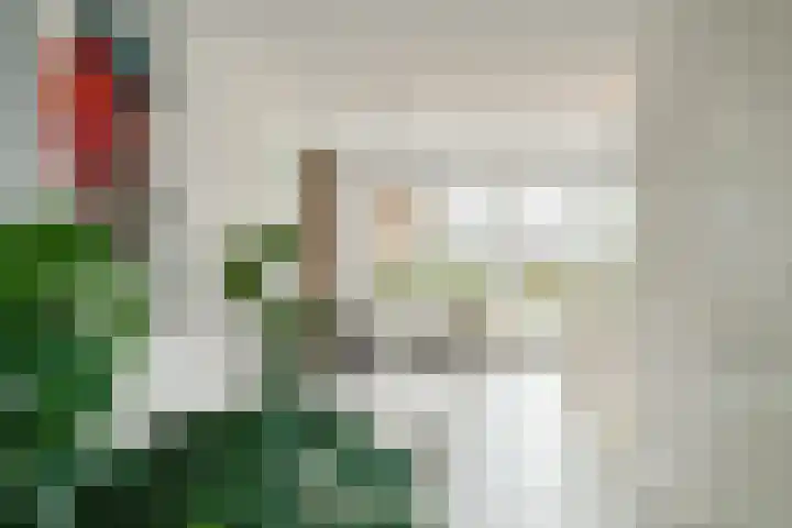 Staartploeg 23 't Zand thumbnail 8