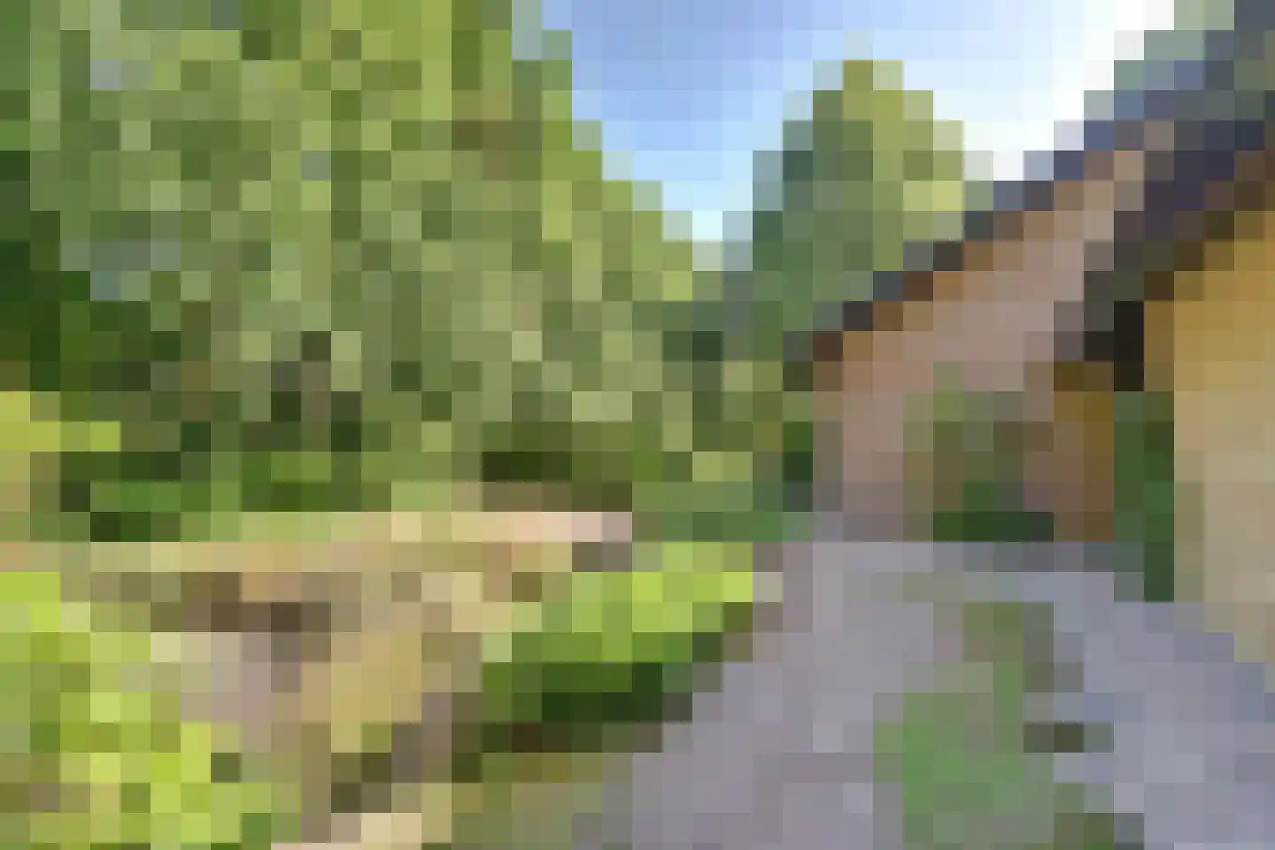 Staartsestraat 22 a Huijbergen thumbnail 34