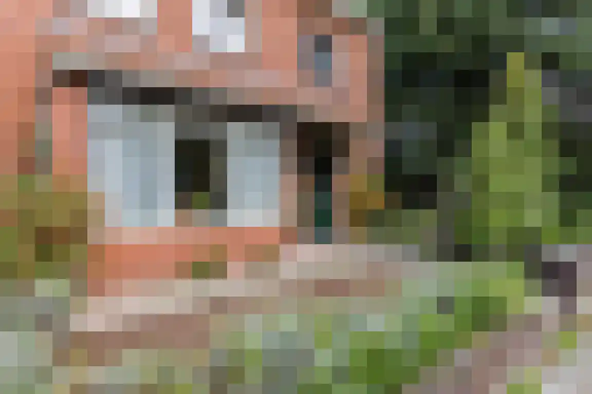 Staartsestraat 29 Huijbergen thumbnail 47