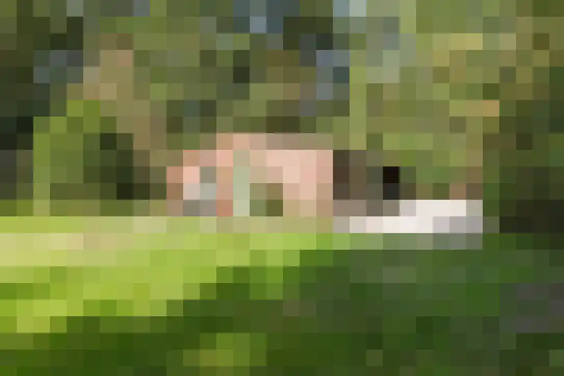 Staartsestraat 29 Huijbergen thumbnail 51