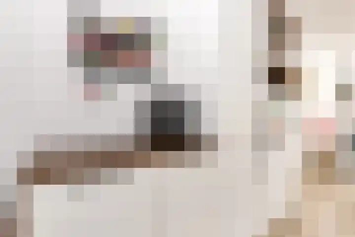 Staartwolk 2 De Meern thumbnail 17