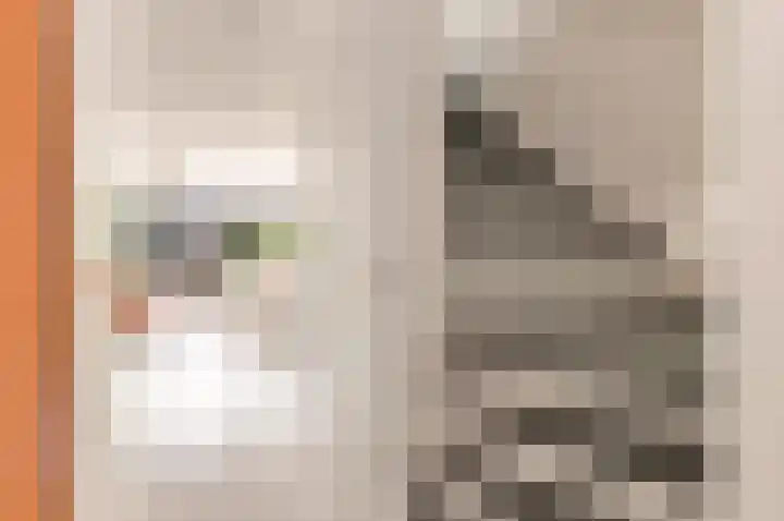 Staartwolk 2 De Meern thumbnail 20