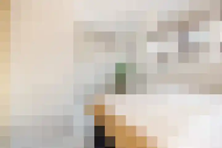 Staartwolk 2 De Meern thumbnail 25
