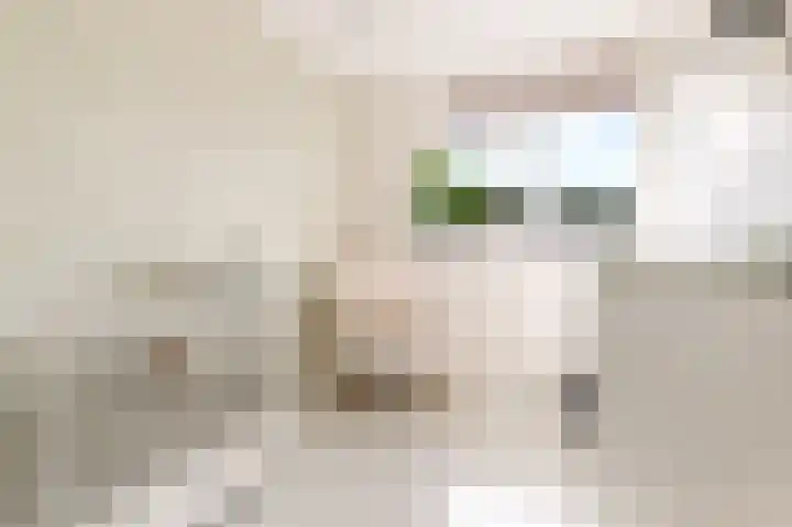 Staartwolk 2 De Meern thumbnail 26