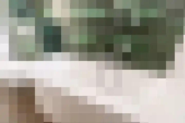Staartwolk 2 De Meern thumbnail 31