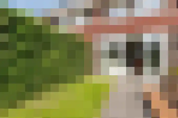 Staartwolk 2 De Meern thumbnail 42