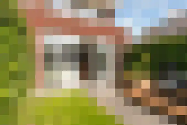 Staartwolk 2 De Meern thumbnail 44