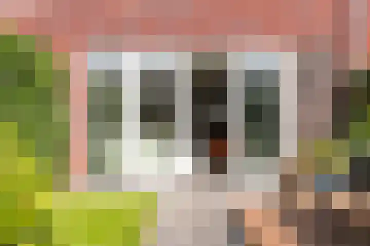 Staartwolk 2 De Meern thumbnail 48