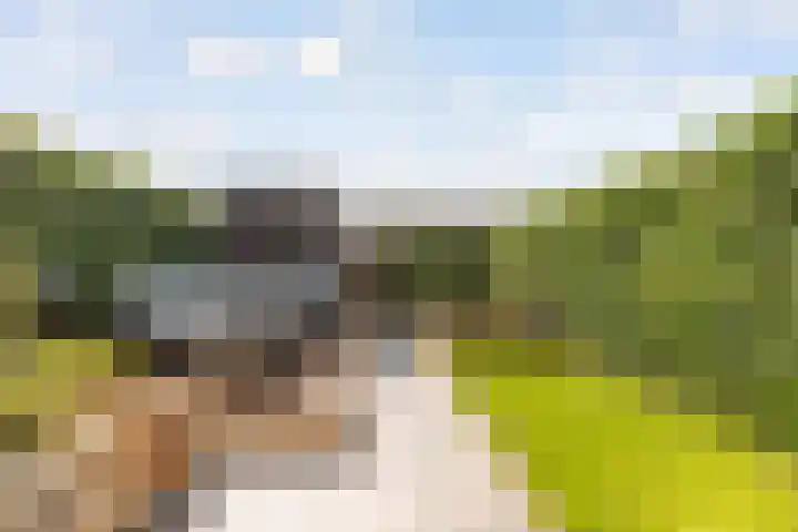 Staartwolk 2 De Meern thumbnail 49