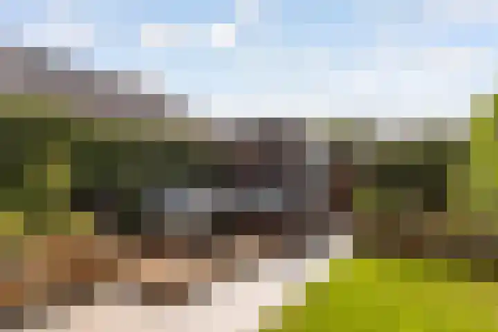 Staartwolk 2 De Meern thumbnail 50