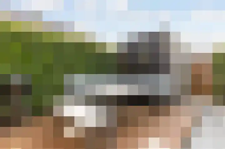 Staartwolk 2 De Meern thumbnail 51