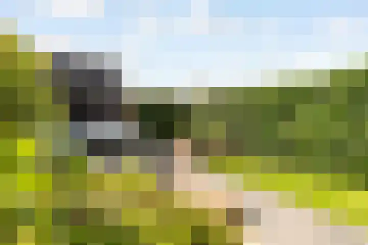 Staartwolk 2 De Meern thumbnail 52