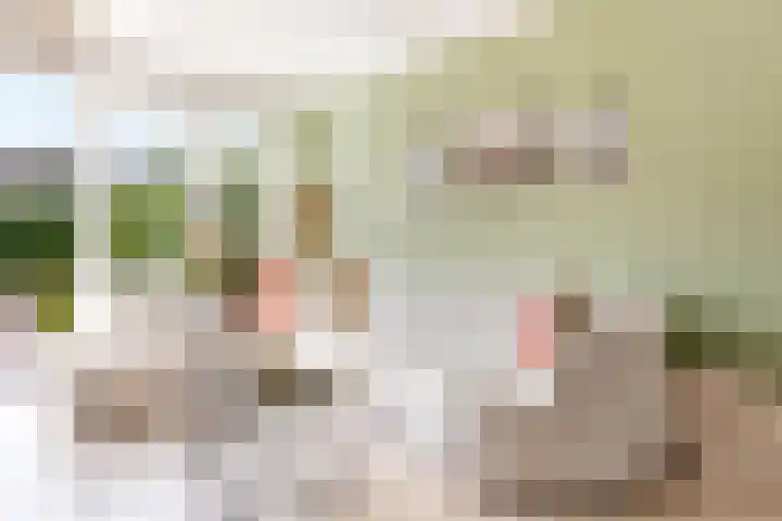 Staartwolk 2 De Meern thumbnail 6
