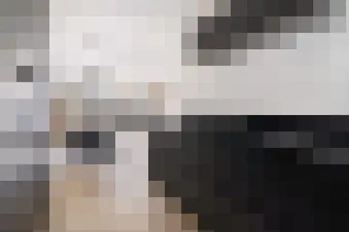 Staartwolk 5 De Meern thumbnail 13
