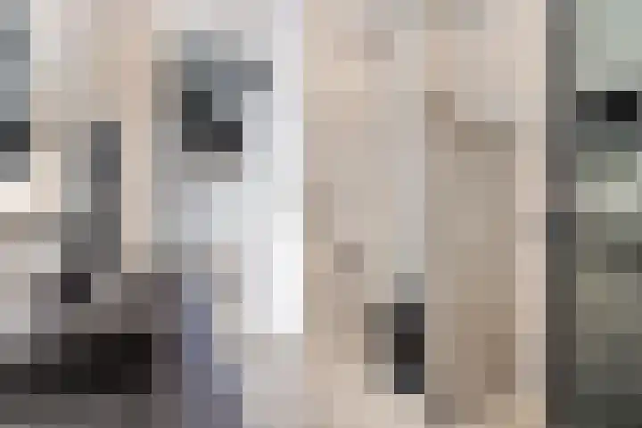 Staartwolk 5 De Meern thumbnail 23
