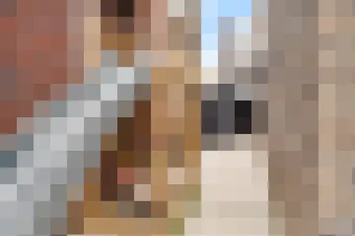 Staartwolk 5 De Meern thumbnail 40