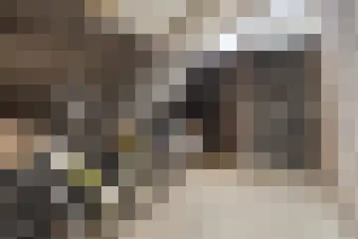 Staartwolk 5 De Meern thumbnail 42