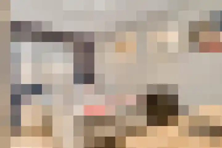 Staat 21 Nederweert thumbnail 25