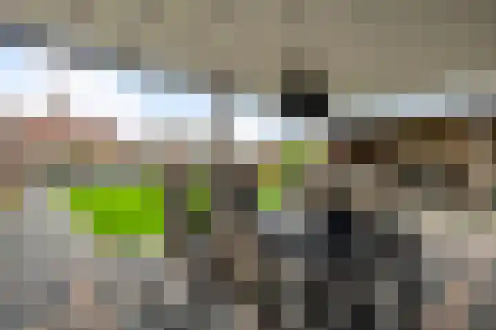 Staat 21 Nederweert thumbnail 35