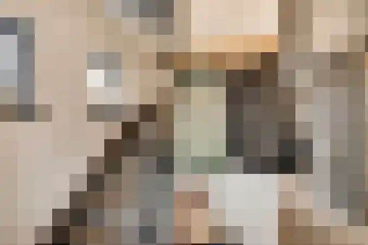 Staat 21 Nederweert thumbnail 8