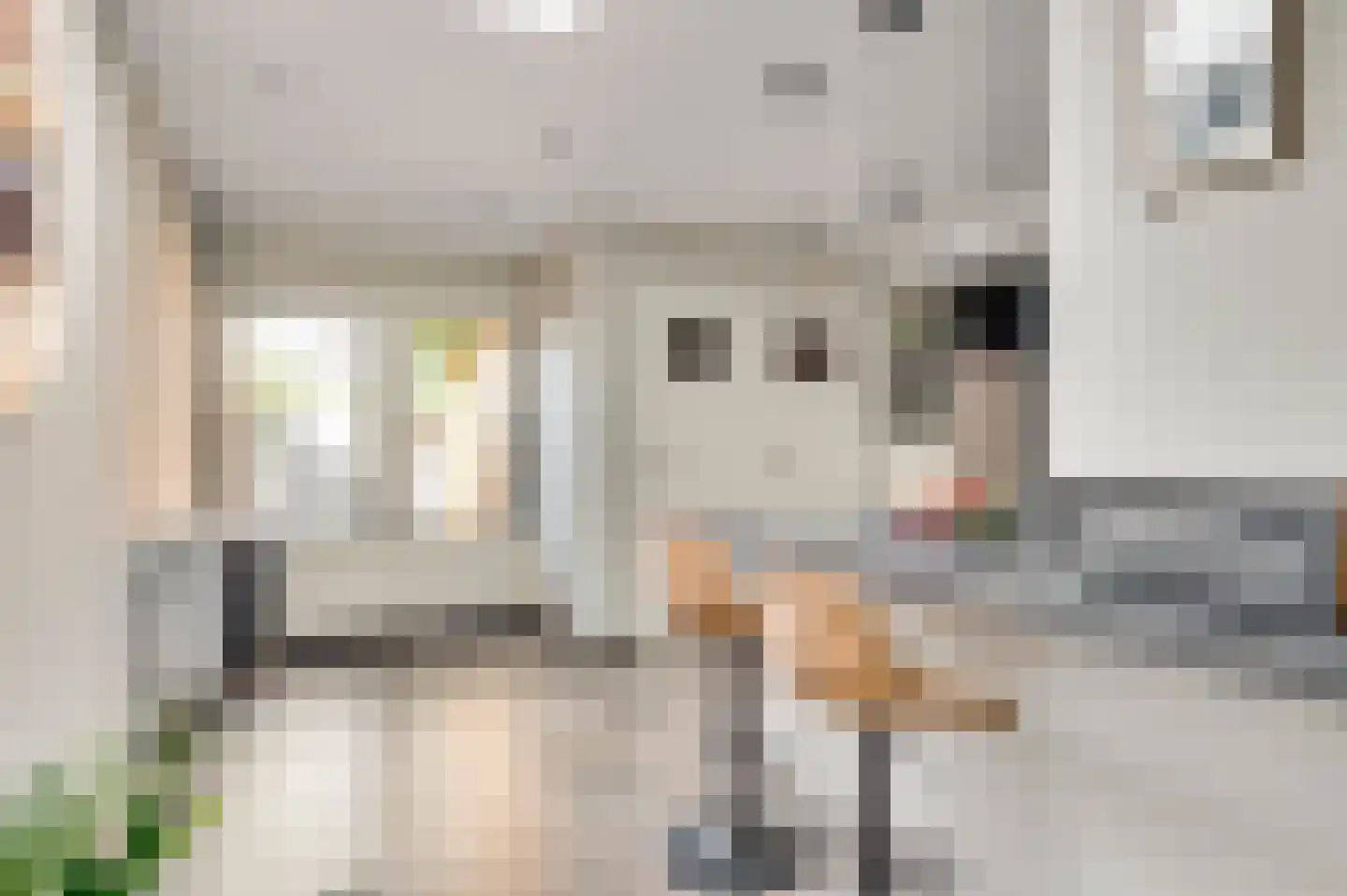 Staat 34 Nederweert thumbnail 15