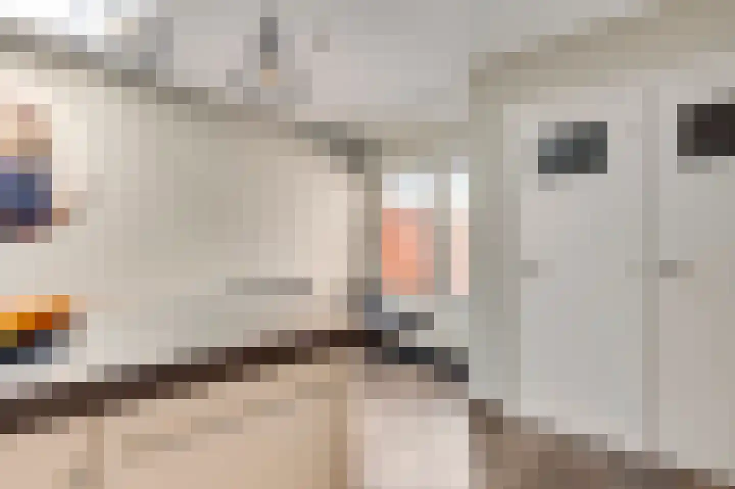Staat 34 Nederweert thumbnail 18