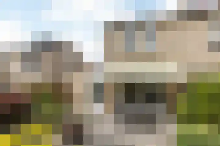 Staatsland 28 Ransdaal thumbnail 19