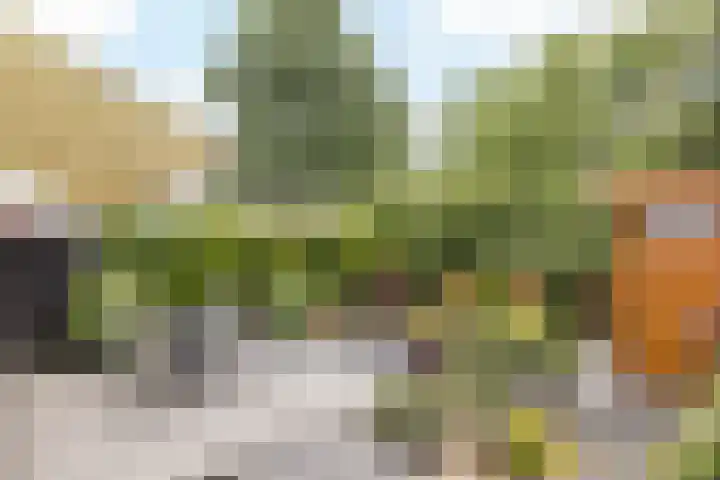 Staatsland 28 Ransdaal thumbnail 21
