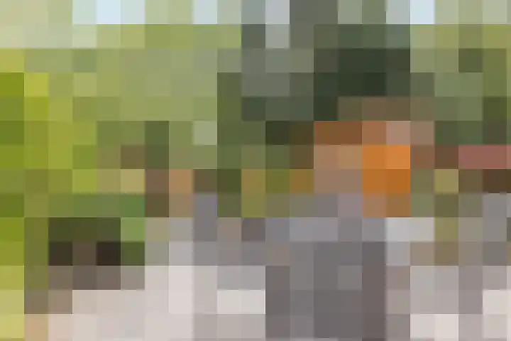 Staatsland 28 Ransdaal thumbnail 22