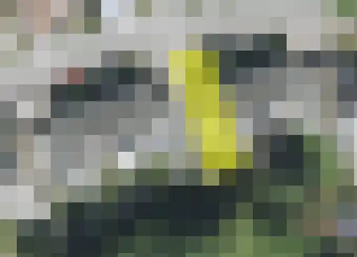 Staatsland 28 Ransdaal thumbnail 23